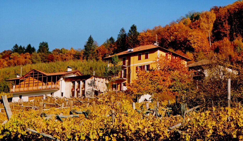 AGRITUR MASO TOLDIN DEVIGILI CIRO agriturismo in Lavis Trentino